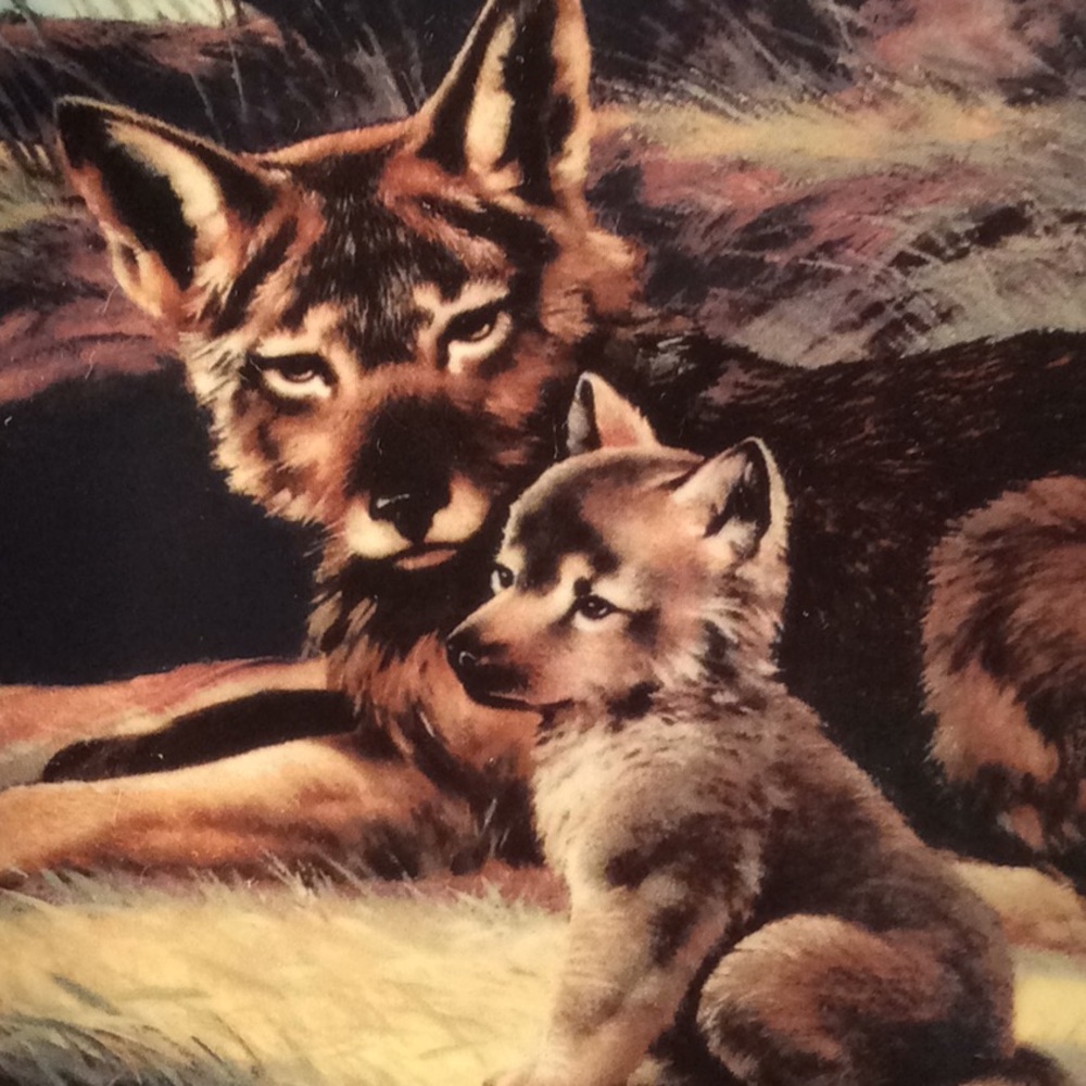 Will Nelson “The Red Wolf” Collector Plate 3rd Issue In Last Of Their Kind